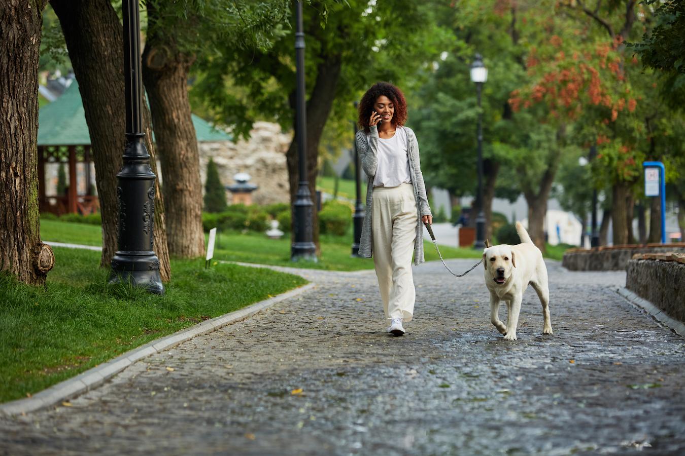 girl walking her dog in a park mental stimulation quality time new dog breed senior dogs shorter walks walking puppies walking