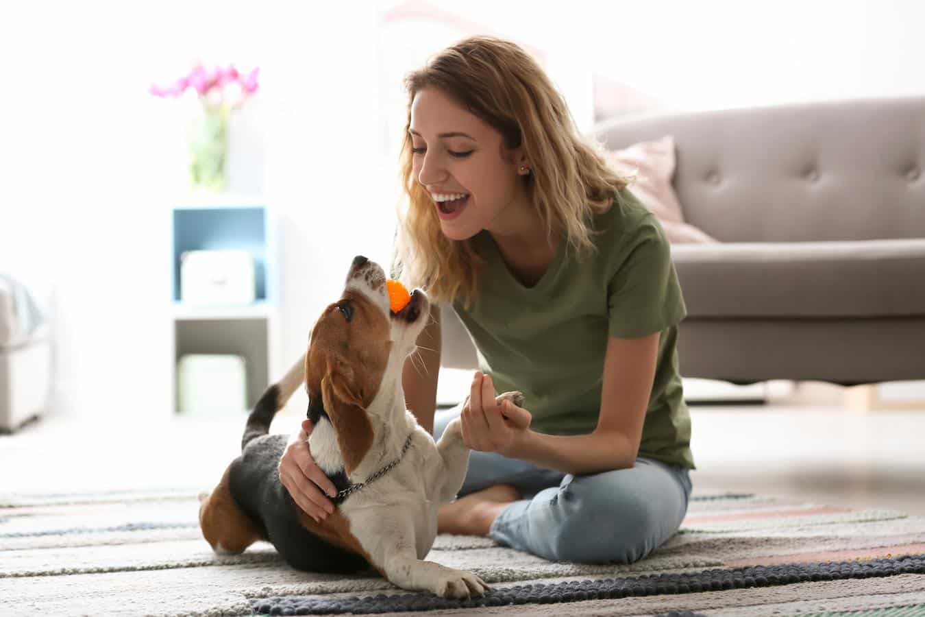 lady playing with her dog neurological diseases muscle weakness shaker syndrome dog warm affected dogs low blood sugar old age contagious virus certain breeds harmless reasons