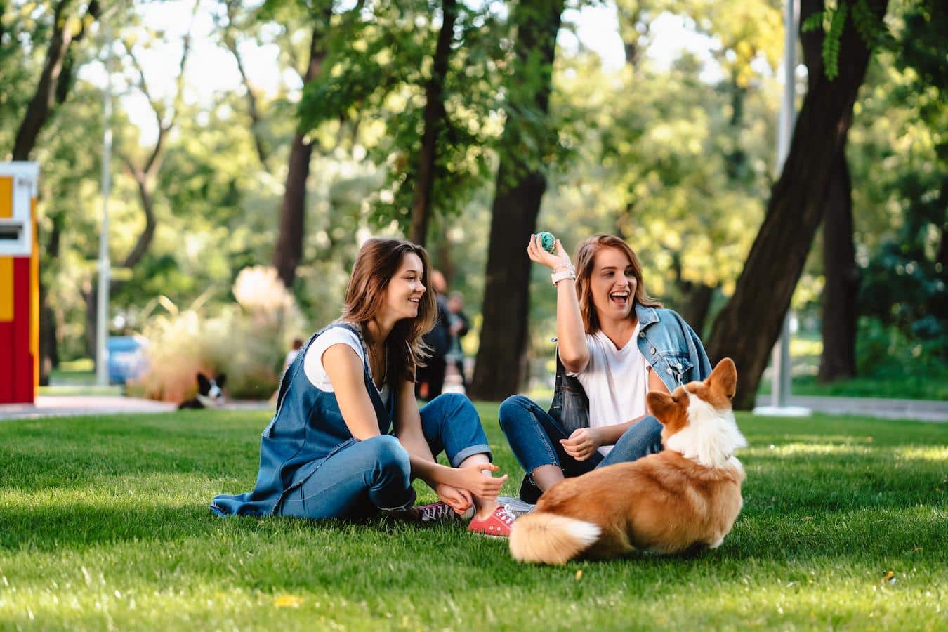 dog in the park with two women local shelter family dogs national dog day timeline family lifestyle expert dog lovers therapy dogs save lives pet lifestyle expert