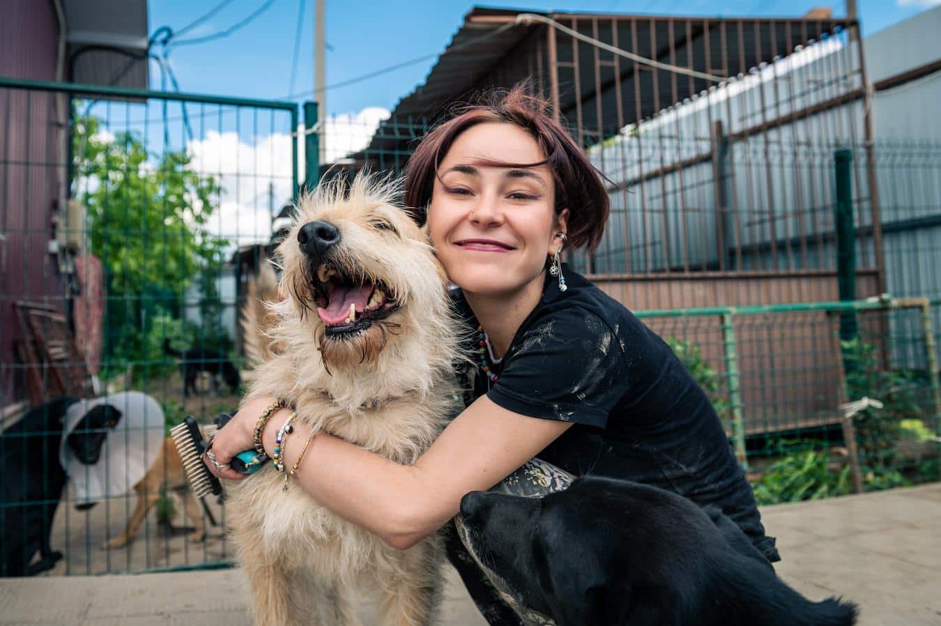 girl hugging a shelter dog animal advocate pet store photo contest abuse free lives first dog public shelters work selflessly rescue home excellent opportunity live