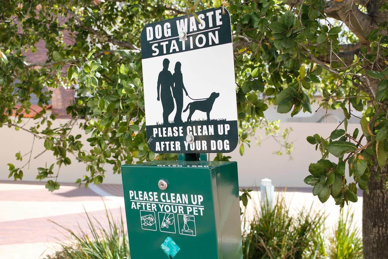 dog poop bag station drafts pet rules animals behave leash rules certain pet restrictions banning pets altogether properly dispose pet rule pet owner prohibit pet friendly community animal waste homeowners register prohibit dogs service dogs prohibit pets