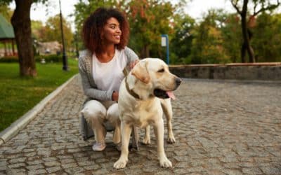 HOA Dog Rules And Policies Every Dog Owner Should Know About