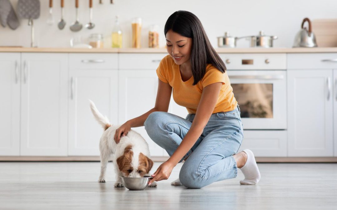 How much canned pumpkin to give dog best sale