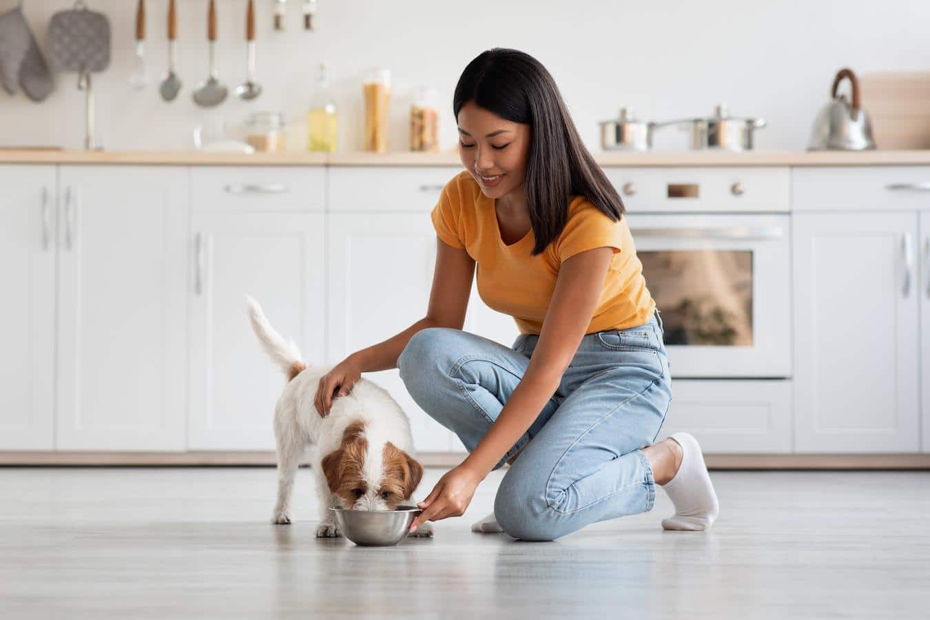 How much pumpkin to give your dog best sale