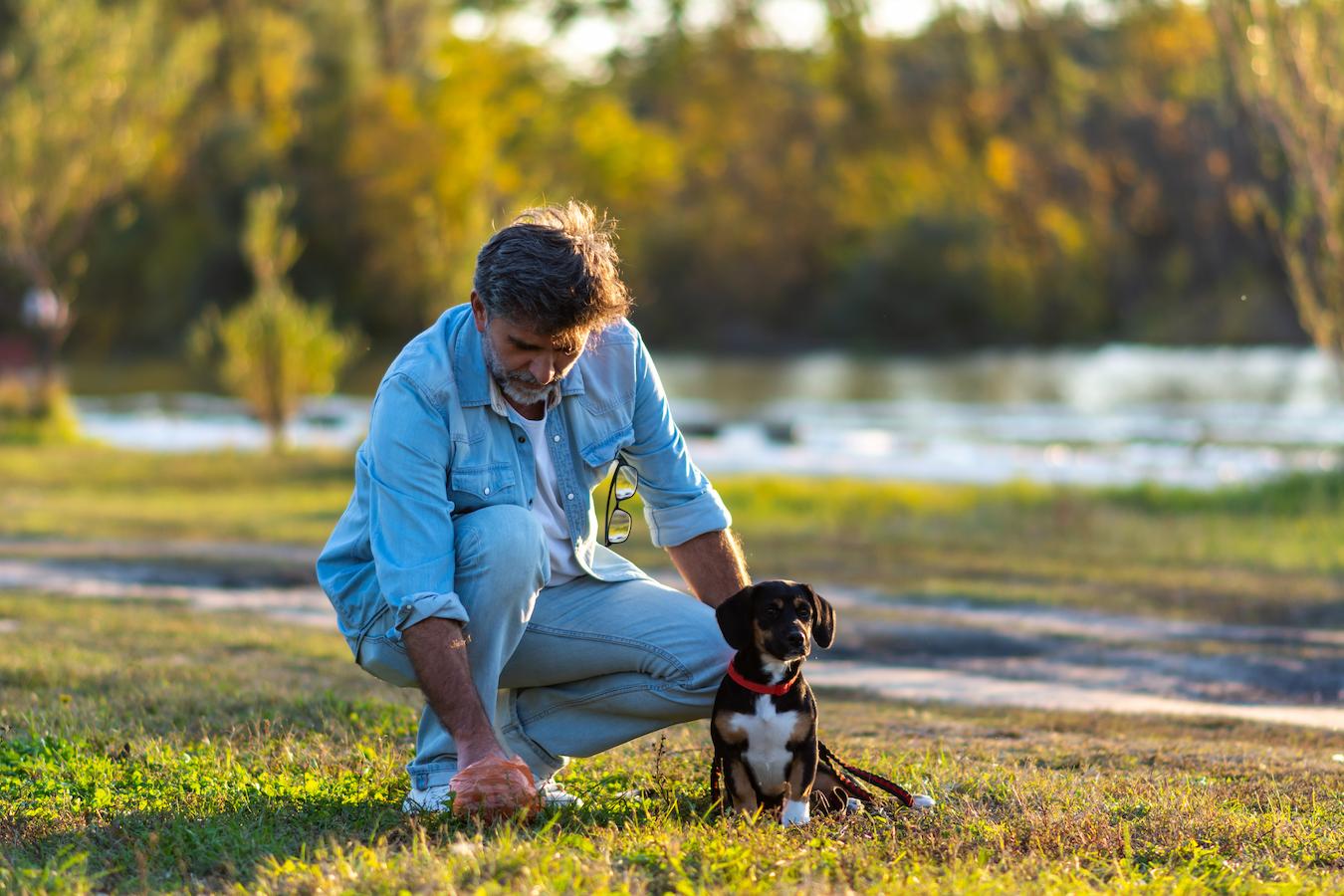 someone picking up dog poop new dog food chronic soft stools soft stool fatty foods dog foods dog's stool dog food dog's stool