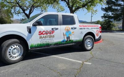 Scoop Masters Offers Comprehensive Commercial Pet Waste Removal Services to Maintain Clean and Sanitary Spaces for Communities and Businesses