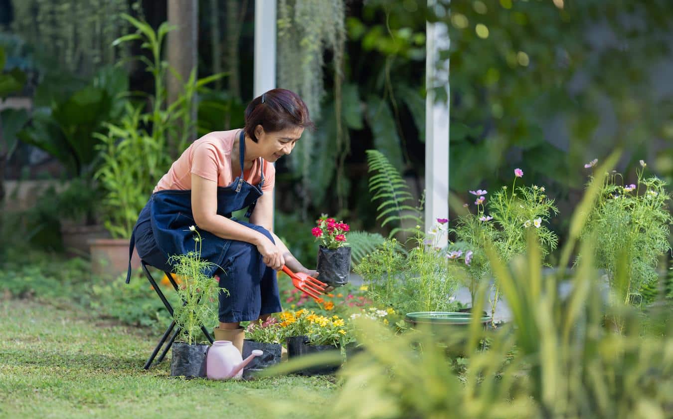 home garden biodegradable bag pet's poop bag collected waste plastic grocery dog's poop most common parasites landfill