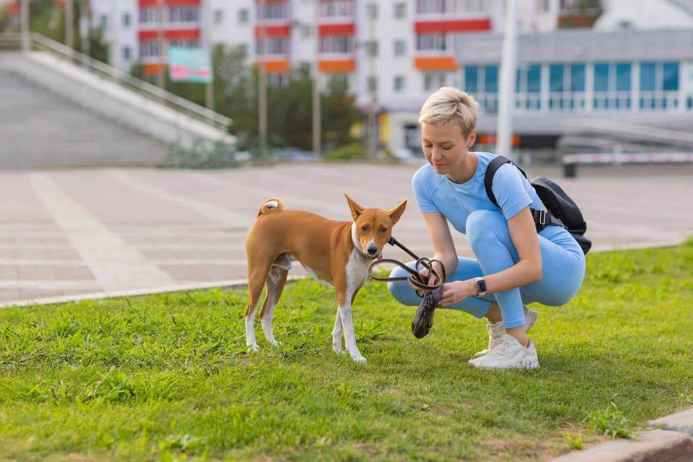 someone picking up their dog's poop ground landfill bag bag bag yard yard dogs trash eco friendly bag bag