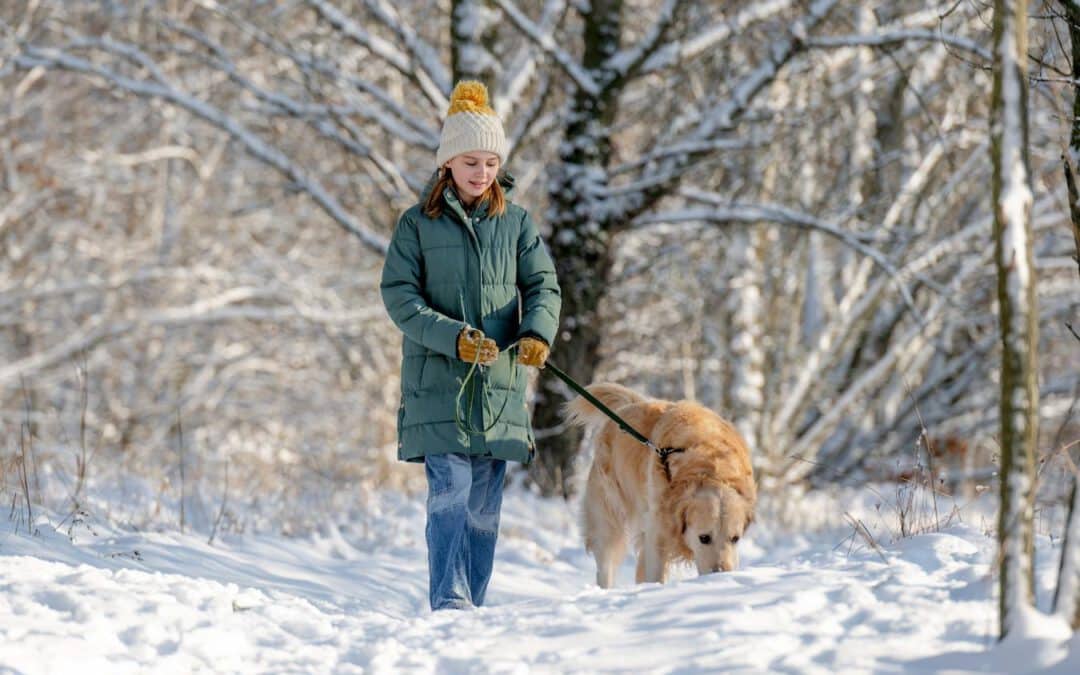 When Is It Too Cold To Walk Your Dog