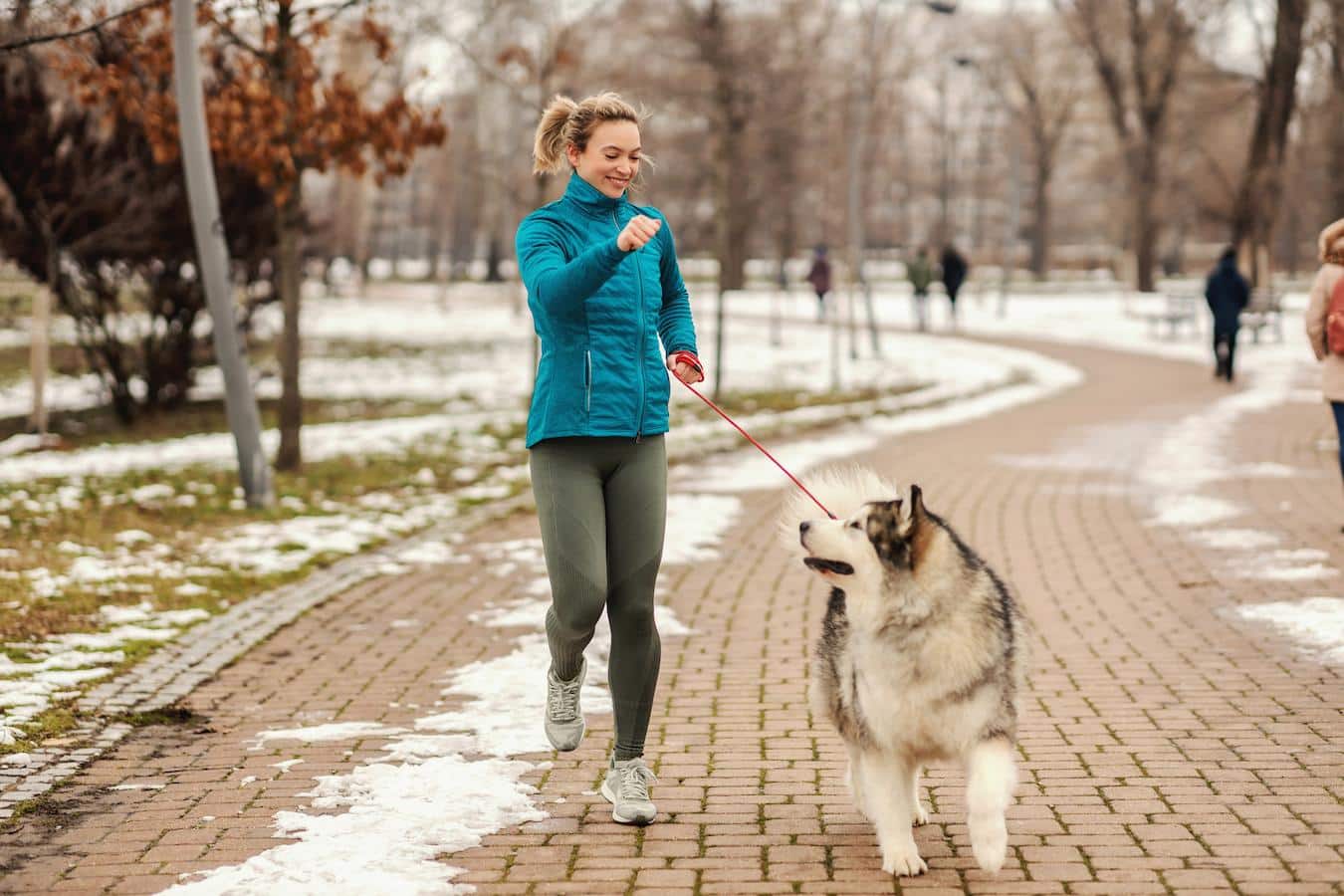 woman walking her dog pet pets walking walking zero degrees paw pads adequate shelter feel cold dog safe smaller dogs healthy medium dog winter pet winter