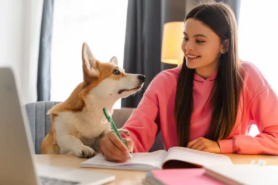 Image of dog looking at owner as if write down dog resolutions for 2025