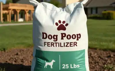 Can Dog Poop Be Used as Fertilizer?