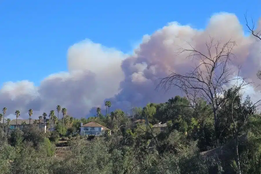 Image of wildfires in Brentwood and Palisades - Los Angeles.